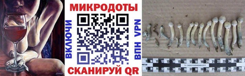 Псилоцибиновые грибы Cubensis Петушки